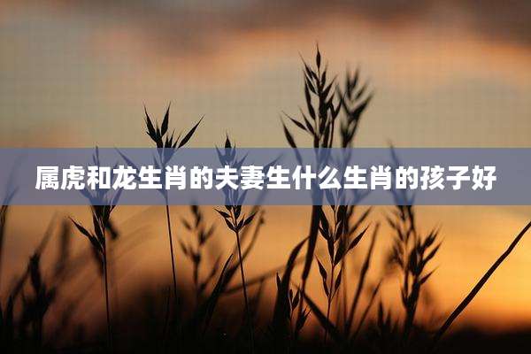 属虎和龙生肖的夫妻生什么生肖的孩子好