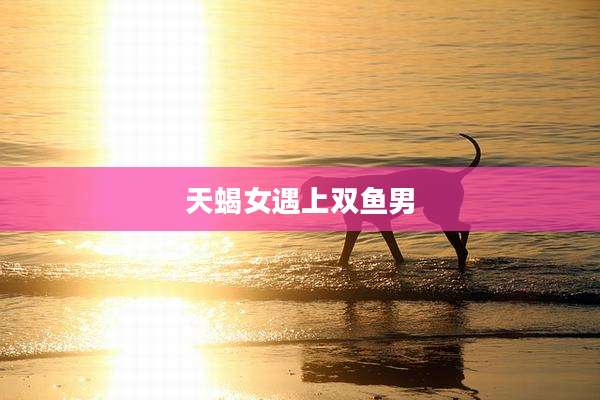 天蝎女遇上双鱼男