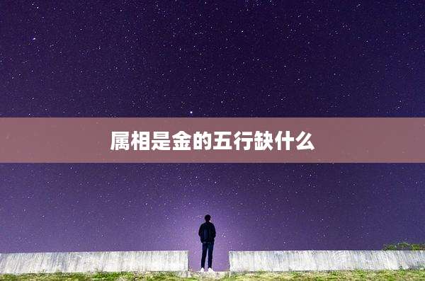 属相是金的五行缺什么
