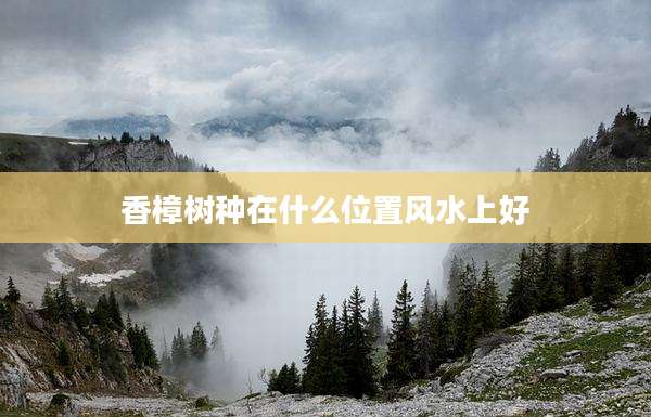 香樟树种在什么位置风水上好
