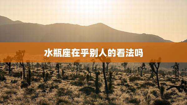 水瓶座在乎别人的看法吗