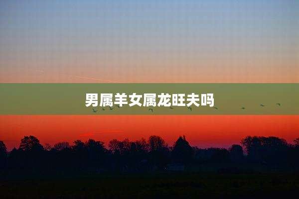 男属羊女属龙旺夫吗