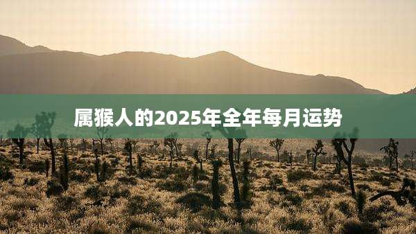 属猴人的2025年全年每月运势