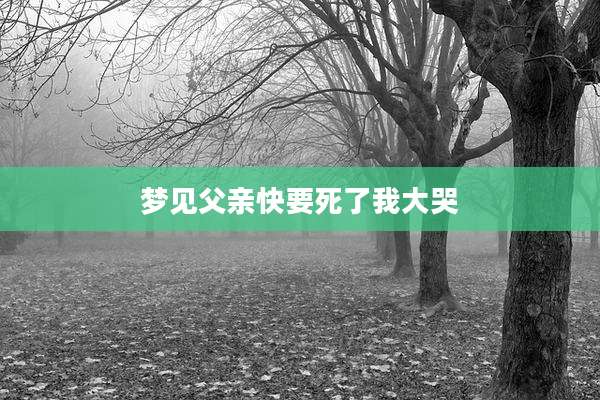梦见父亲快要死了我大哭