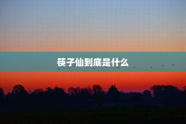 筷子仙到底是什么