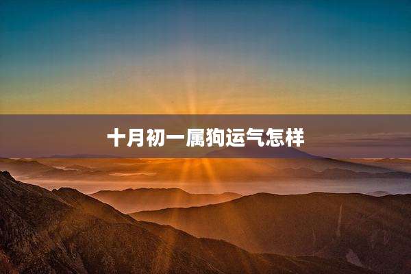 十月初一属狗运气怎样