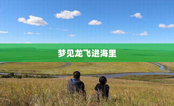 梦见龙飞进海里