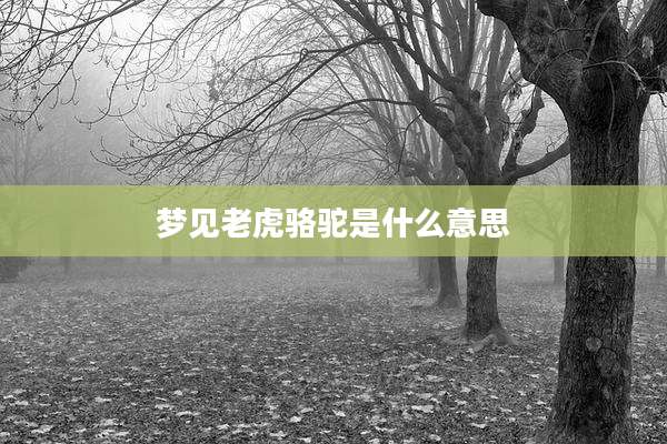 梦见老虎骆驼是什么意思