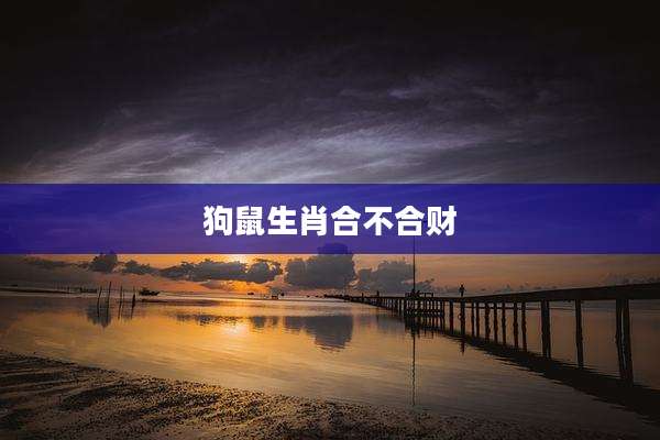 狗鼠生肖合不合财