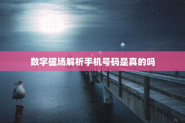 数字磁场解析手机号码是真的吗
