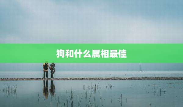 狗和什么属相最佳