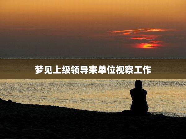 梦见上级领导来单位视察工作
