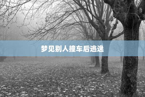 梦见别人撞车后逃逸