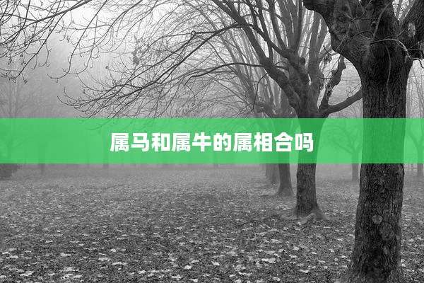 属马和属牛的属相合吗