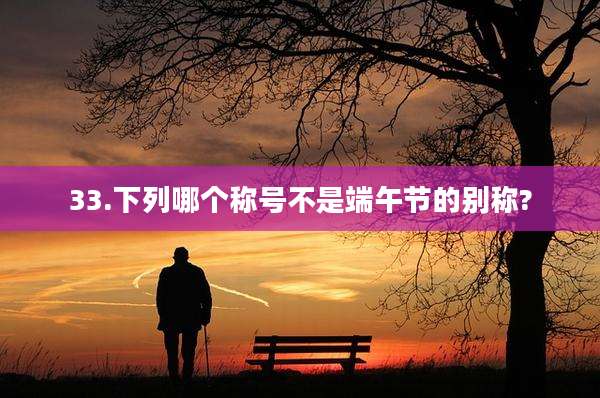 33.下列哪个称号不是端午节的别称?