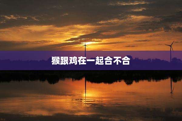 猴跟鸡在一起合不合
