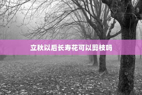 立秋以后长寿花可以剪枝吗