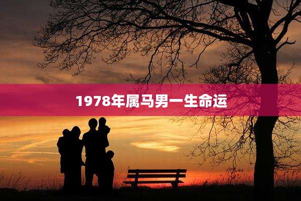 1978年属马男一生命运