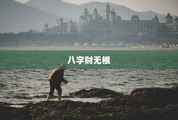 八字财无根