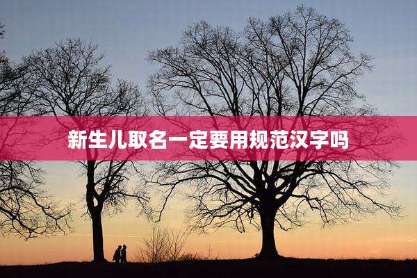 新生儿取名一定要用规范汉字吗