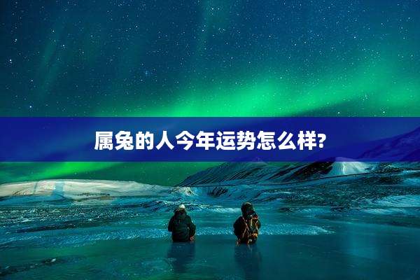 属兔的人今年运势怎么样?