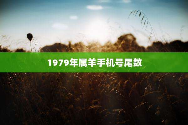 1979年属羊手机号尾数