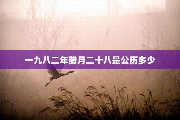 一九八二年腊月二十八是公历多少