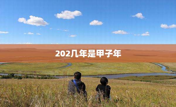 202几年是甲子年