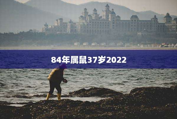 84年属鼠37岁2022