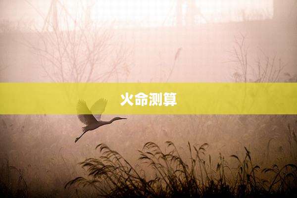 火命测算