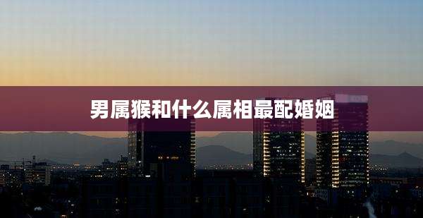 男属猴和什么属相最配婚姻