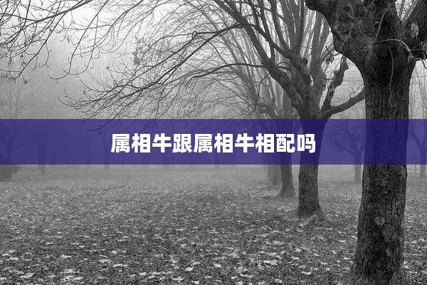 属相牛跟属相牛相配吗