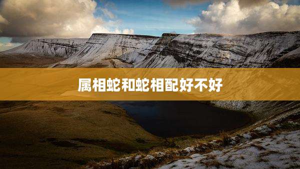 属相蛇和蛇相配好不好