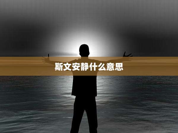 斯文安静什么意思