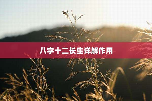 八字十二长生详解作用