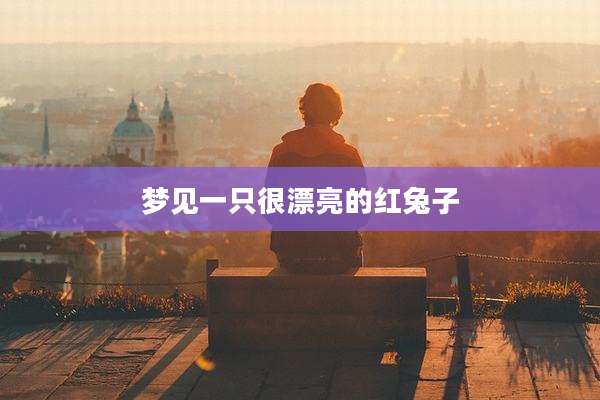 梦见一只很漂亮的红兔子