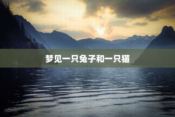 梦见一只兔子和一只猫