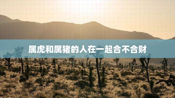 属虎和属猪的人在一起合不合财