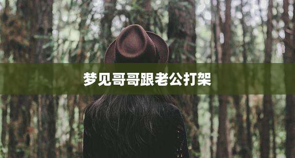 梦见哥哥跟老公打架
