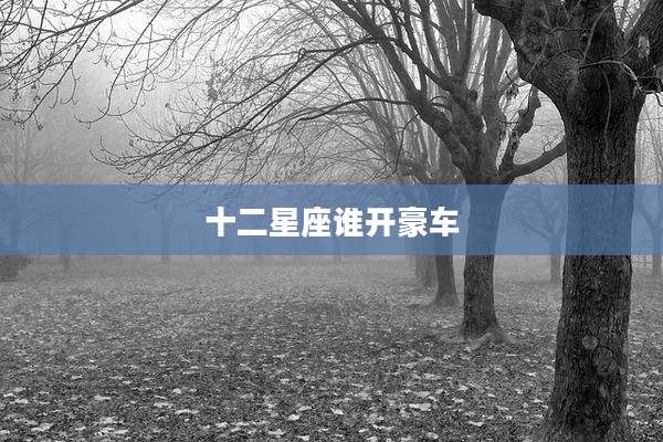 十二星座谁开豪车