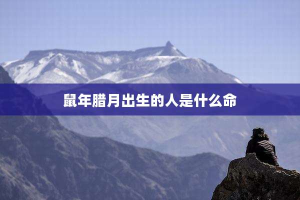鼠年腊月出生的人是什么命