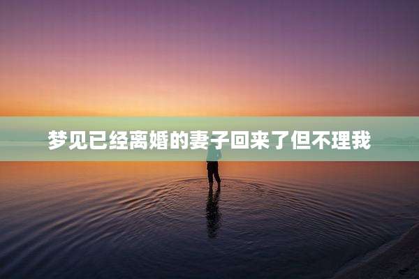 梦见已经离婚的妻子回来了但不理我