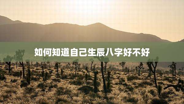 如何知道自己生辰八字好不好