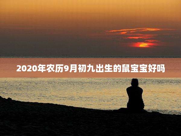 2020年农历9月初九出生的鼠宝宝好吗