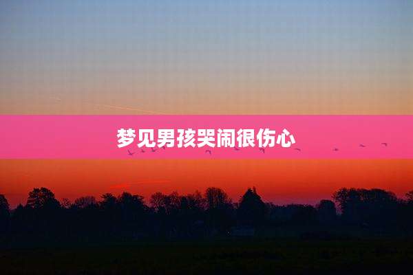 梦见男孩哭闹很伤心