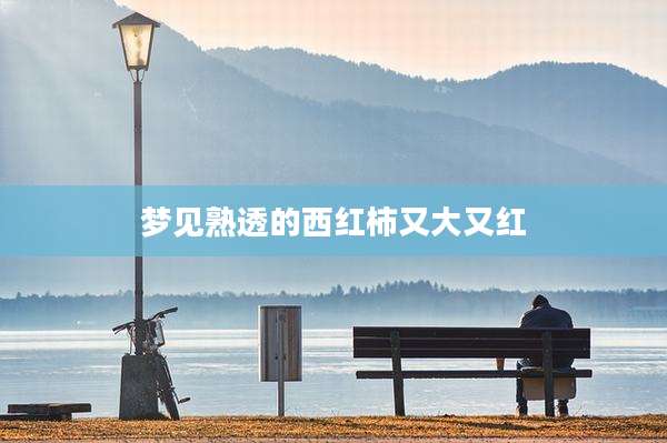 梦见熟透的西红柿又大又红