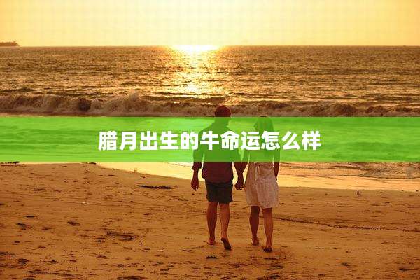 腊月出生的牛命运怎么样