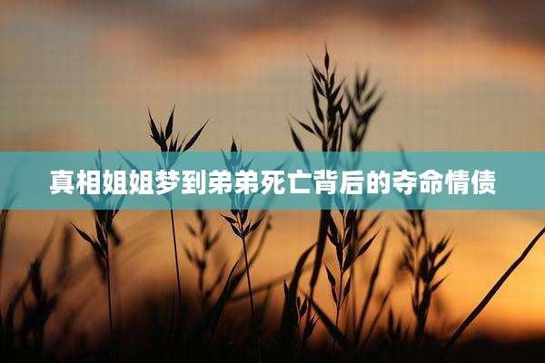 真相姐姐梦到弟弟死亡背后的夺命情债