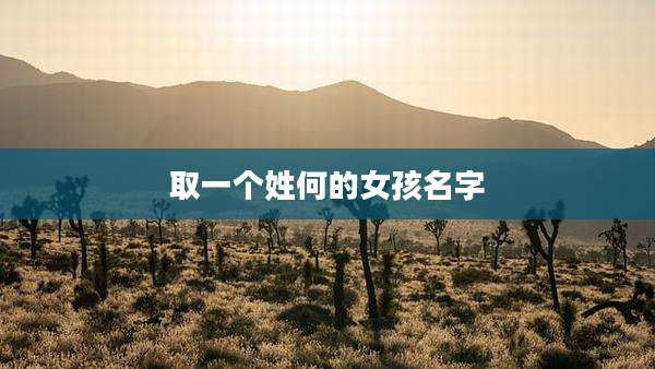 取一个姓何的女孩名字