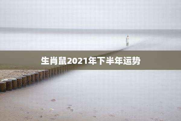 生肖鼠2021年下半年运势